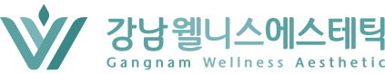 강남웰니스 에스테틱